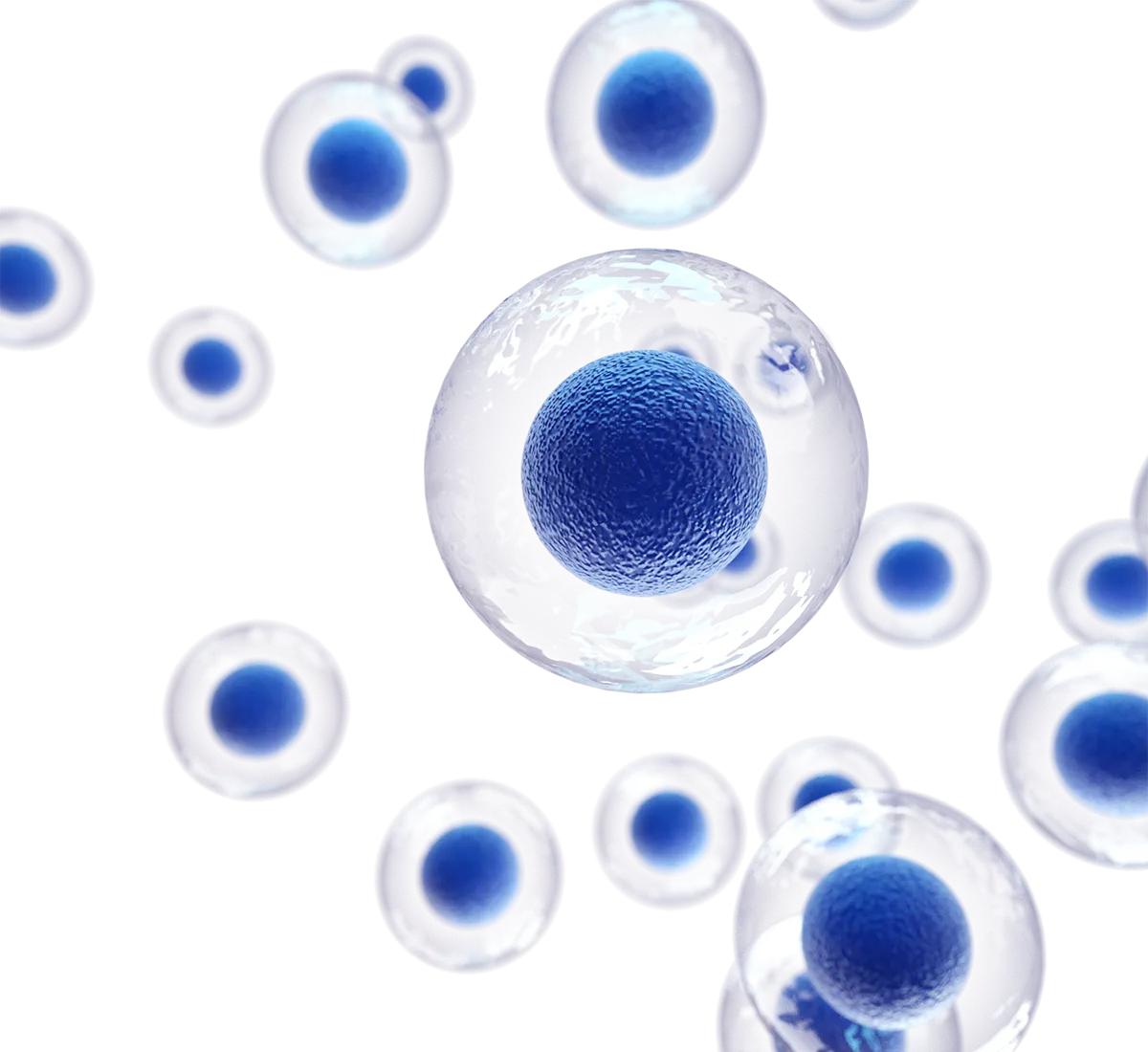 西罗莫司治疗Th17/Treg比值升高的RIF患者新药试验上