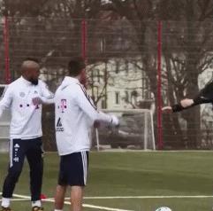 混蛋有什么意思,魂淡是什么梗