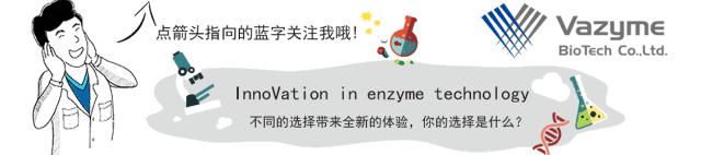 干货|解锁qPCR实验中快速确定cDNA稀释梯度新姿势