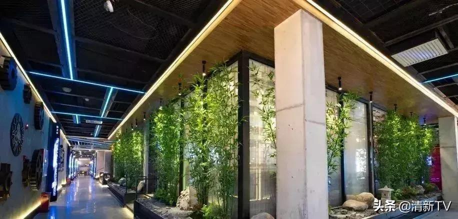 清远音乐餐吧优惠团购,清远海港城音乐餐吧