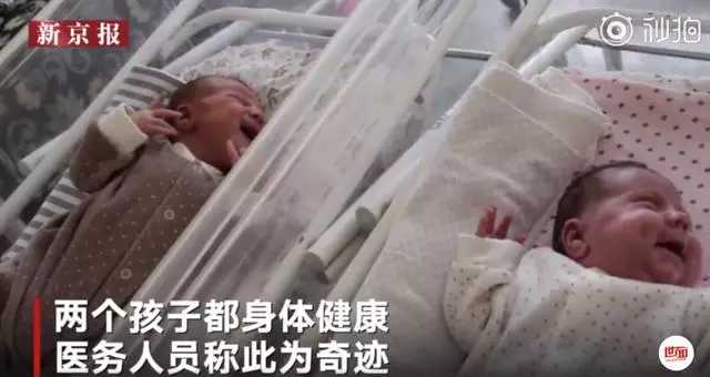 子宫发育异常生下双胞胎,怀孕是双胞胎的概率