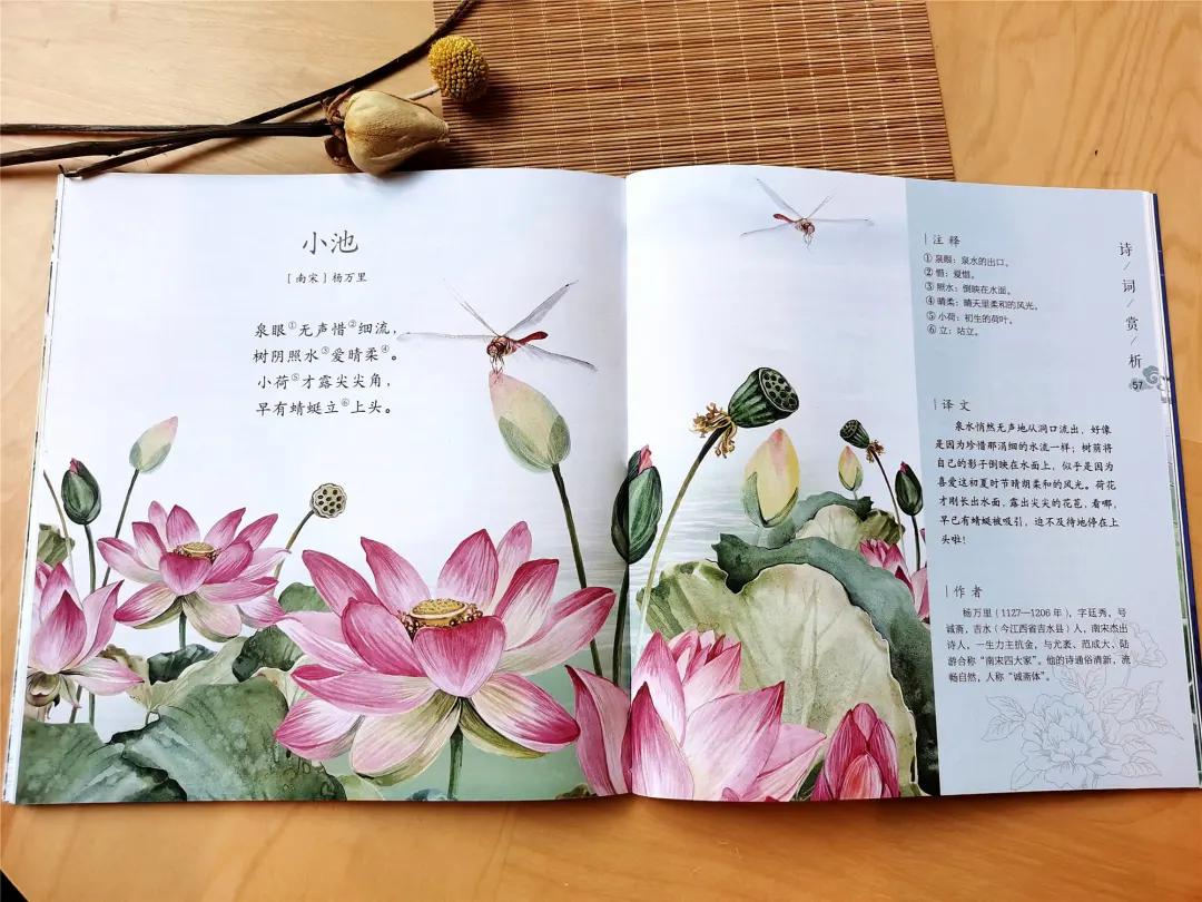 果妈测评｜一口气测评了40多本古诗词启蒙书，上榜单的都是精华