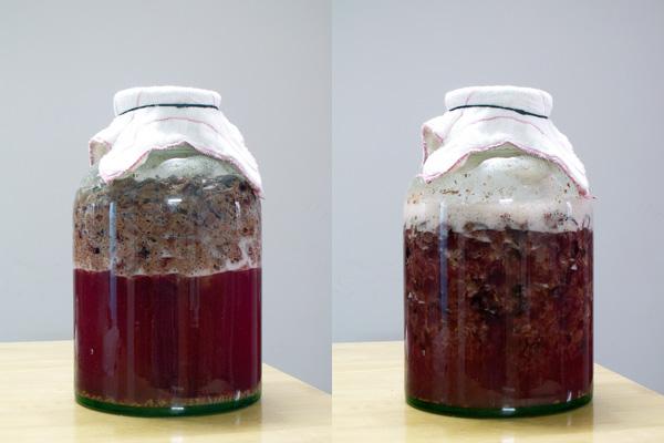 自制葡萄酒正确方法与详细步骤,自制野生葡萄酒的制作方法与步骤