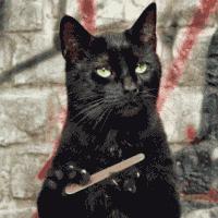 王思聪为什么愿意给女孩花钱,王思聪蝴蝶结多少钱