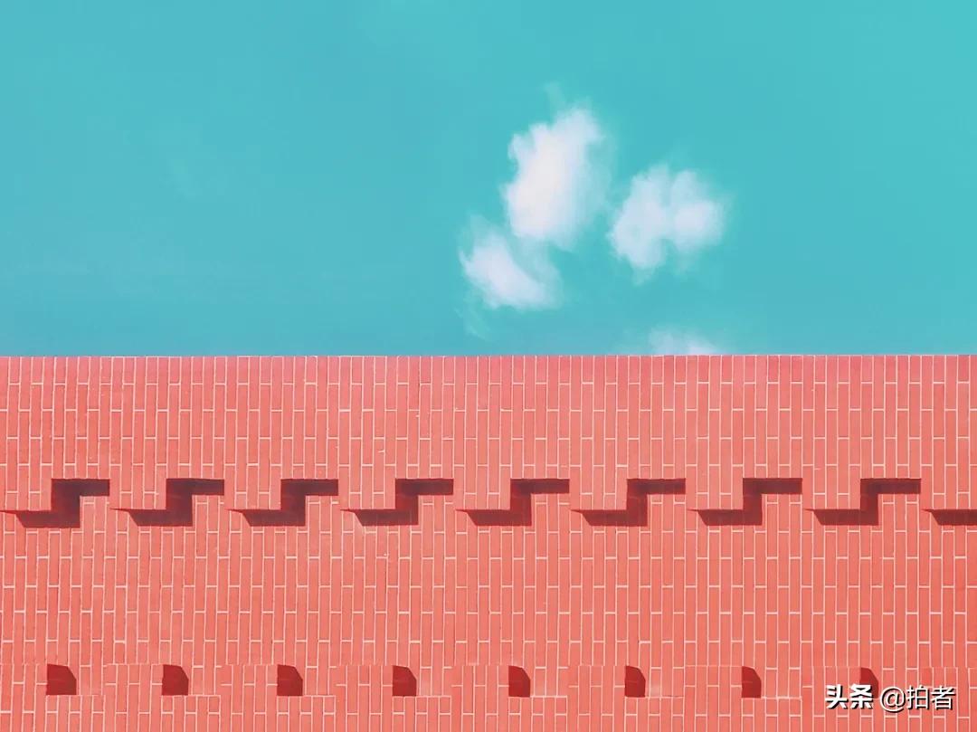 手机摄影天花板机型,手机摄影爱生活