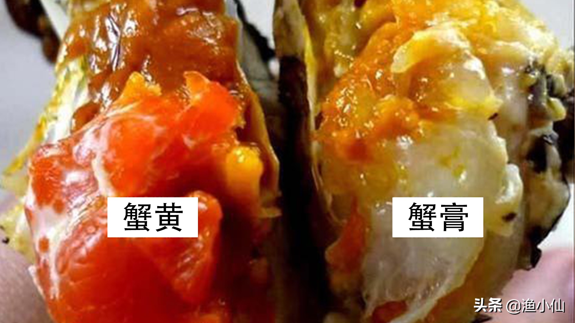 吃螃蟹是吃蟹黄还是蟹膏好,螃蟹的蟹黄和蟹膏是什么