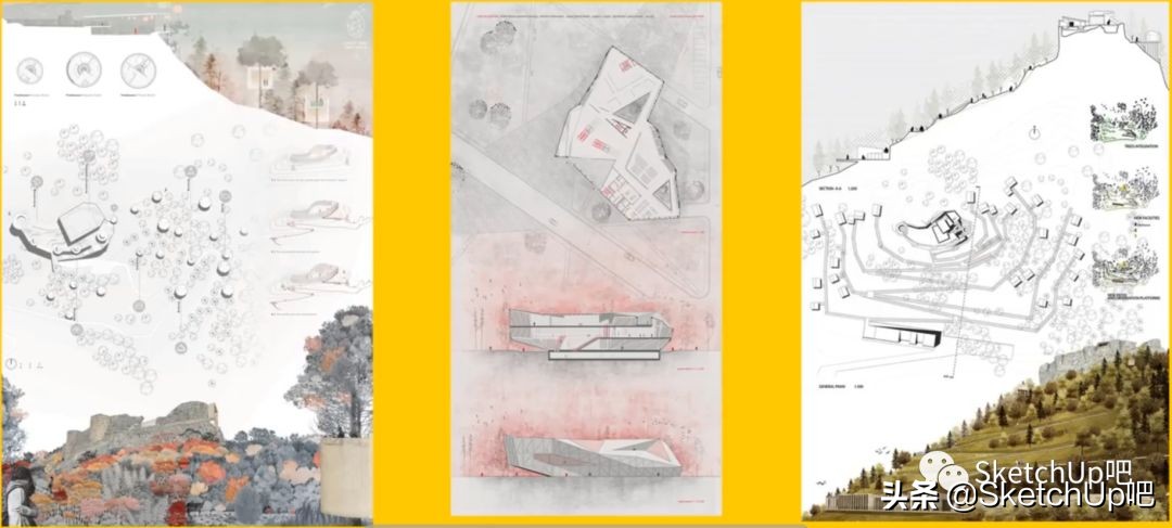 猛虎落泪指的什么动物打一生肖,猛虎落泪代表什么生肖打一动物