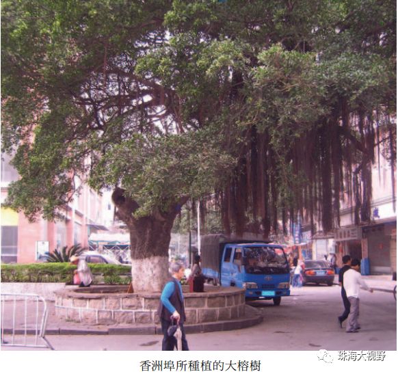 珠海蓝图在哪里,珠海最新蓝图消息