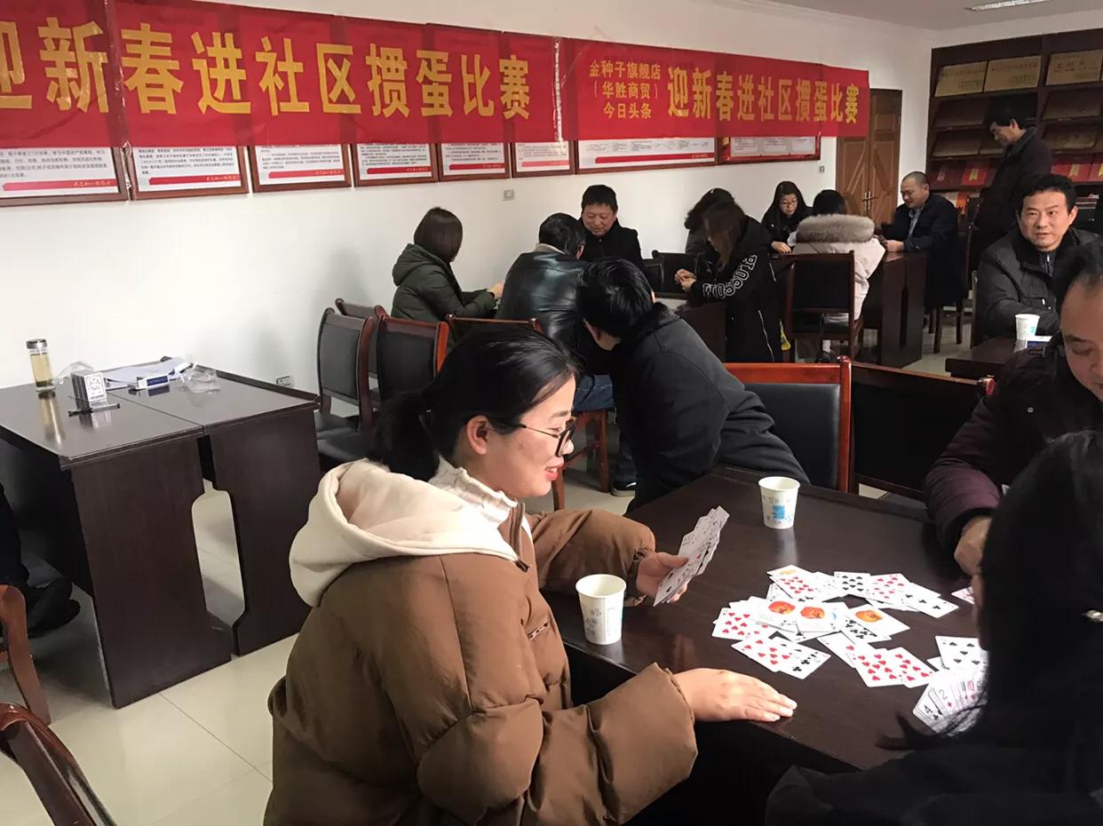 金种子比赛视频,金种子大赛