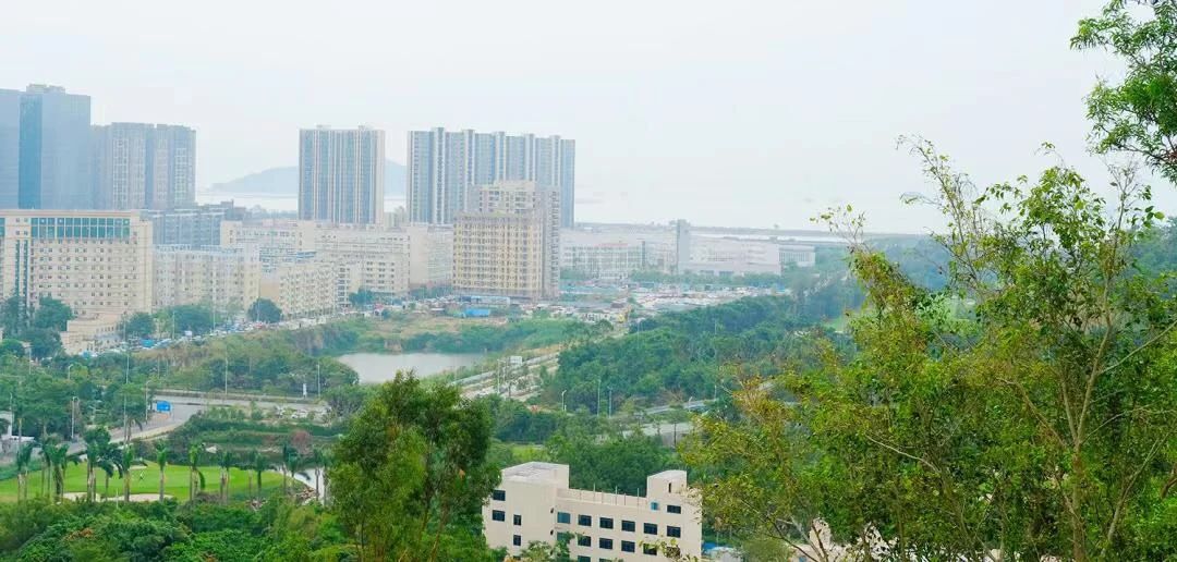 坐11号线去深圳看海,11号线碧海湾看海