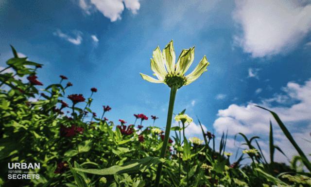 杭州东新·长浜路纪事，住在有魔幻感的理想生活中