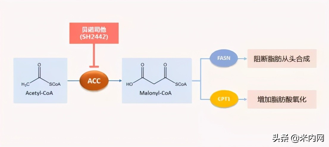 圣和药业前景,圣和药业最新消息