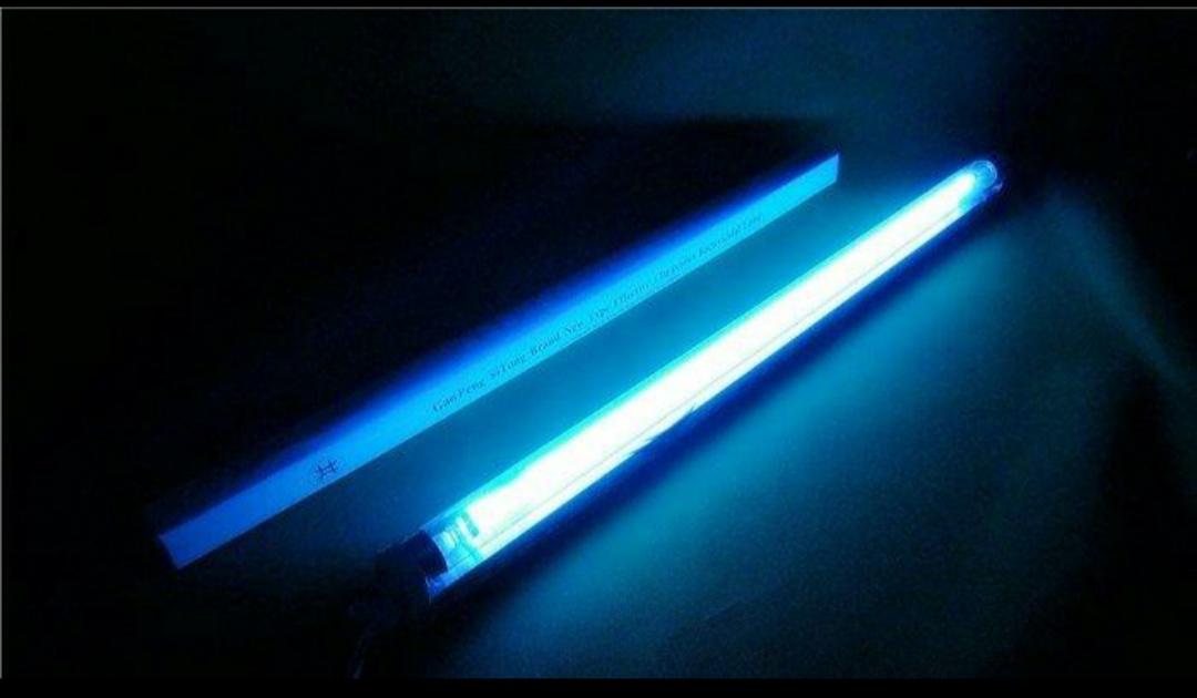 宠物感染细小怎么办,宠物感染了怎么办