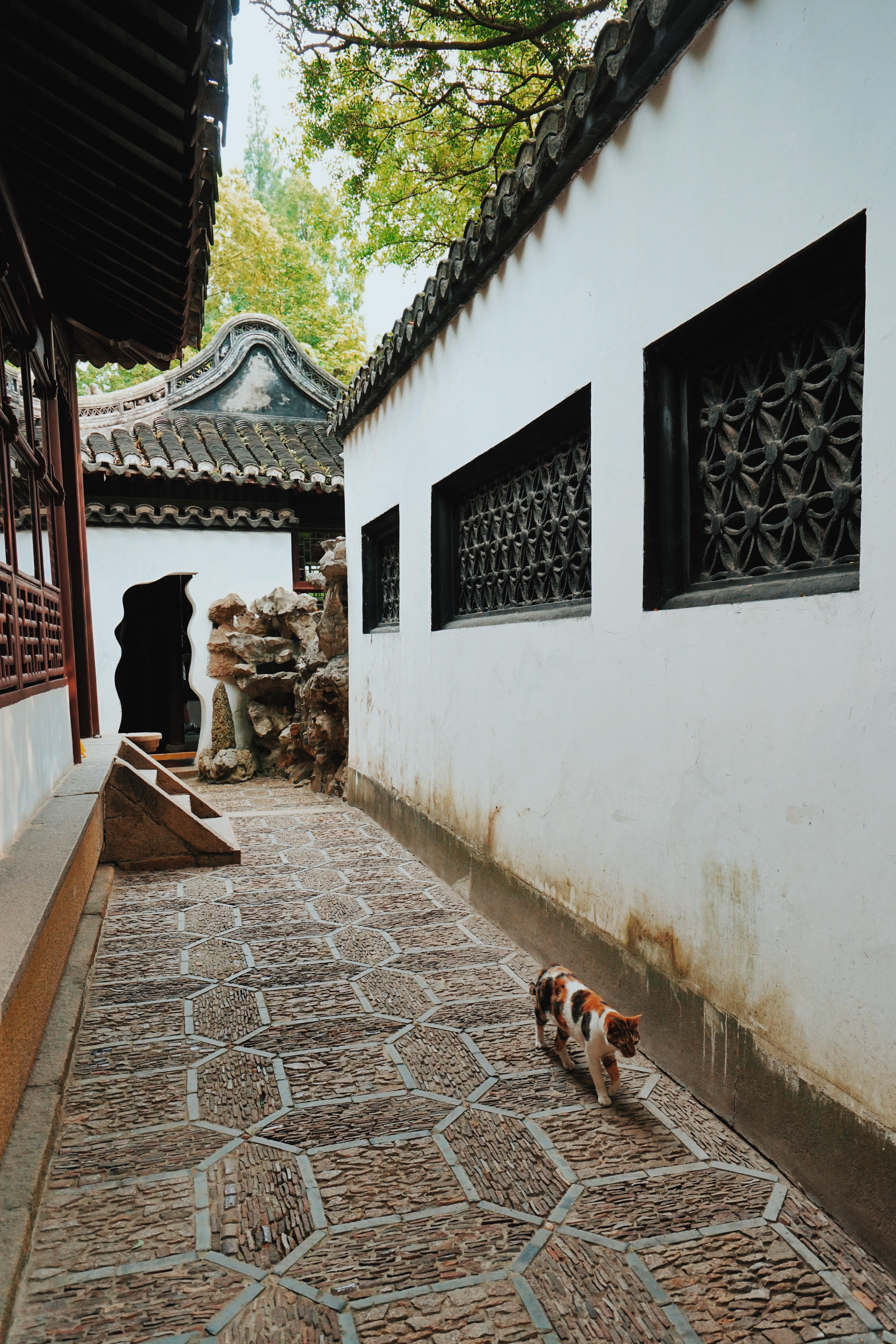 沪上名园豫园,沪上名园之豫园