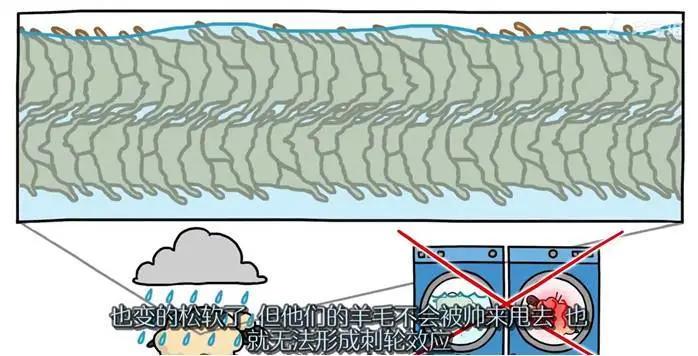 绵羊毛衣缩水严重加醋快速恢复,绵羊毛呢大衣缩水怎么恢复原状