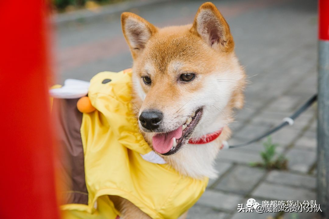 高考择校tips,高考择校指导985211