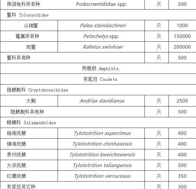 一尾中华鲟价值多少？10月1日起施行的《水生野生动物及其制品价值评估办法》告诉你