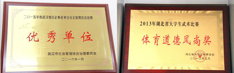 武汉外语外事职业学院手册,武汉外语外事职业学院官网是什么