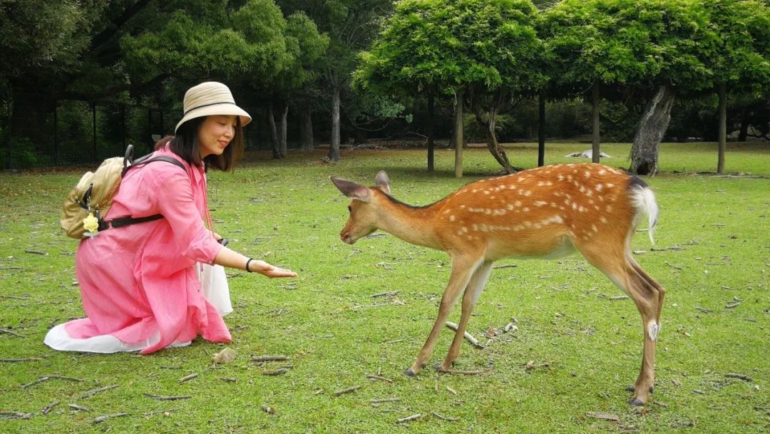 东呈国际首次标杆加盟商日本研习之旅