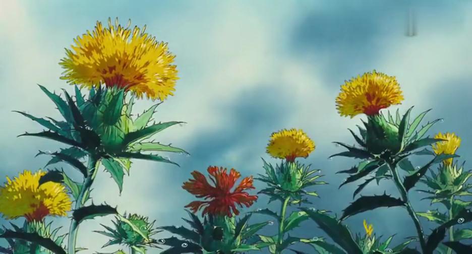 宫崎骏笔下的红花到底是个怎样的植物？