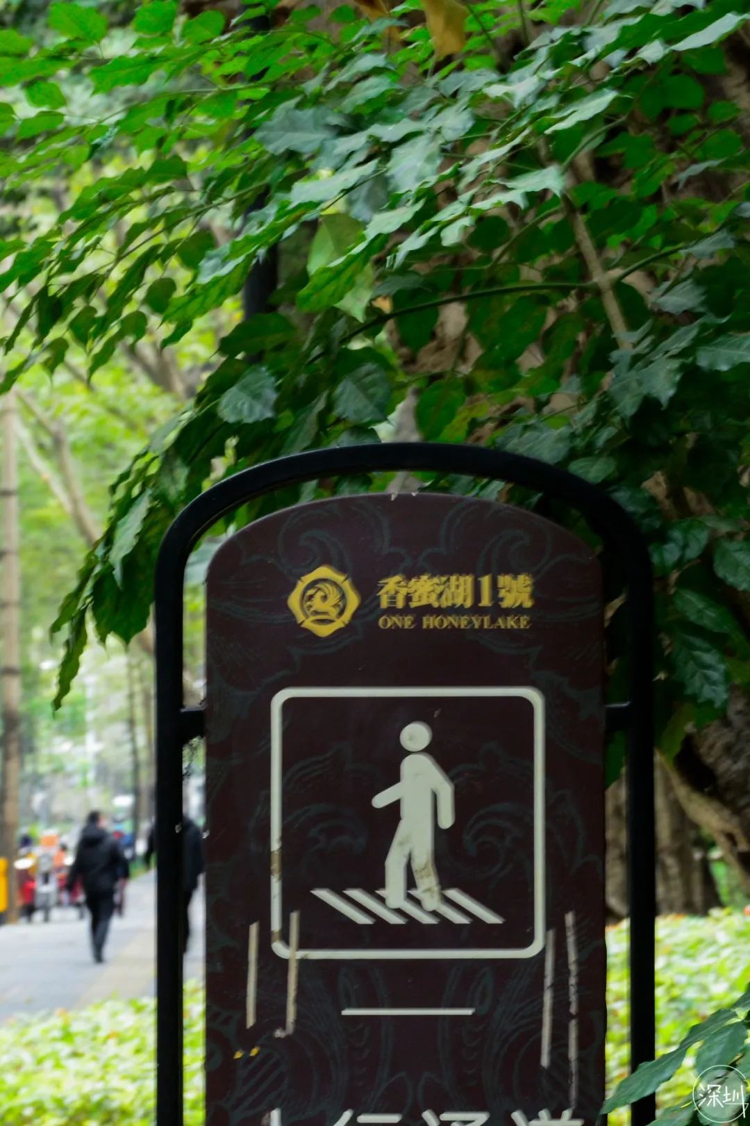 香蜜湖约会,香蜜湖真的要再见了吗