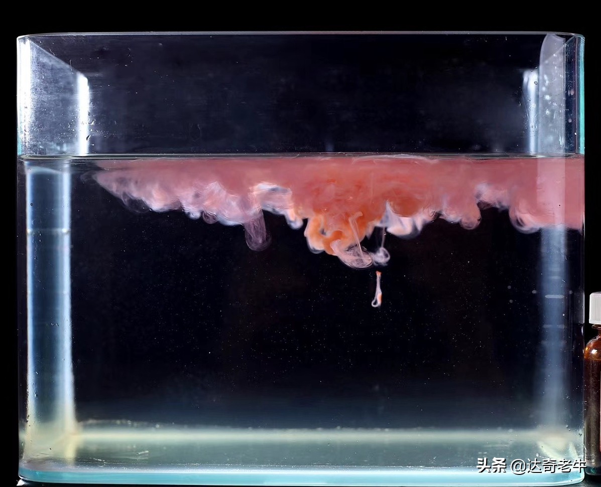 红虫饵可以加小药吗,红虫饵料可以加小药吗