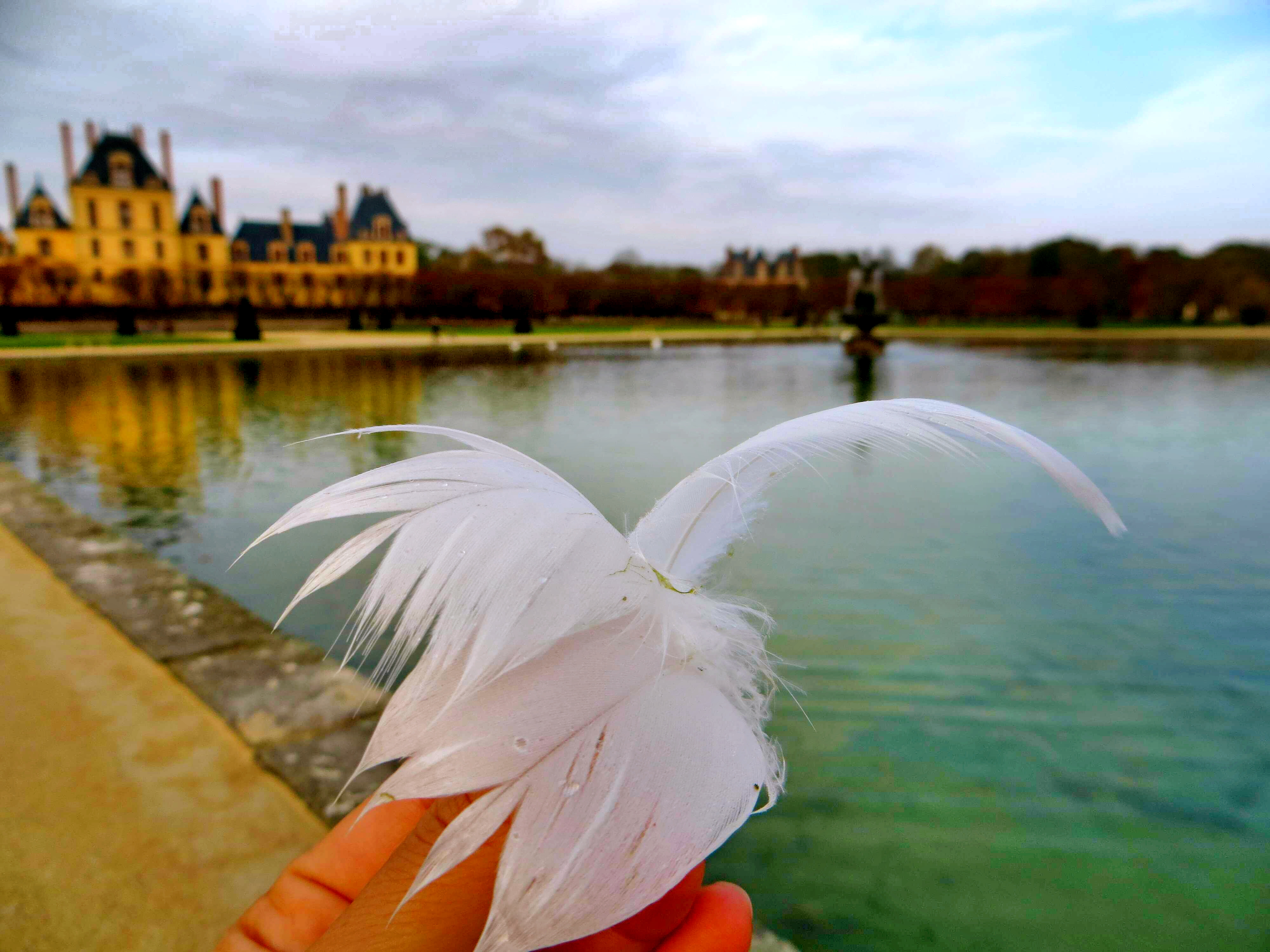 枫丹白露宫有没有拿破仑的帽子,法国枫丹白露拿破仑