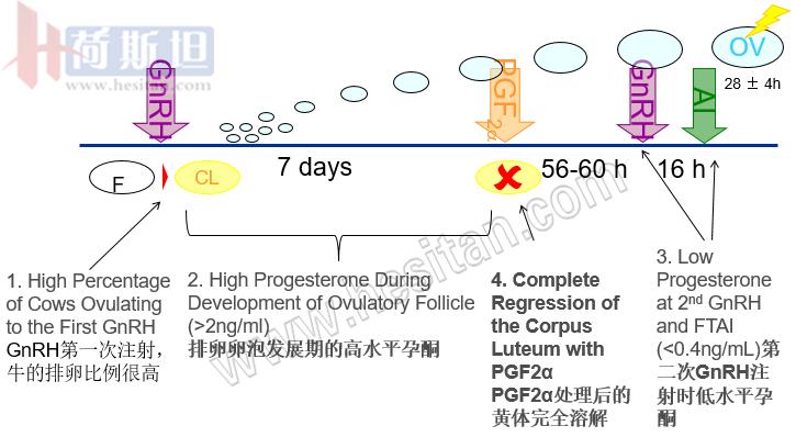 繁殖管理——使用双PG同期发情提高繁殖力