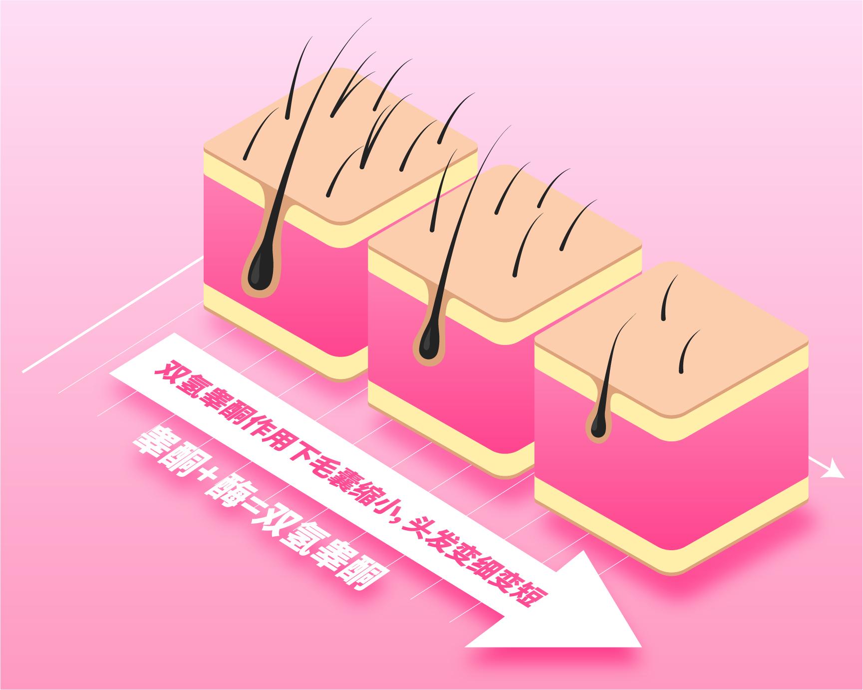 怎么样不脱发掉发,不脱发头发软细少怎么办