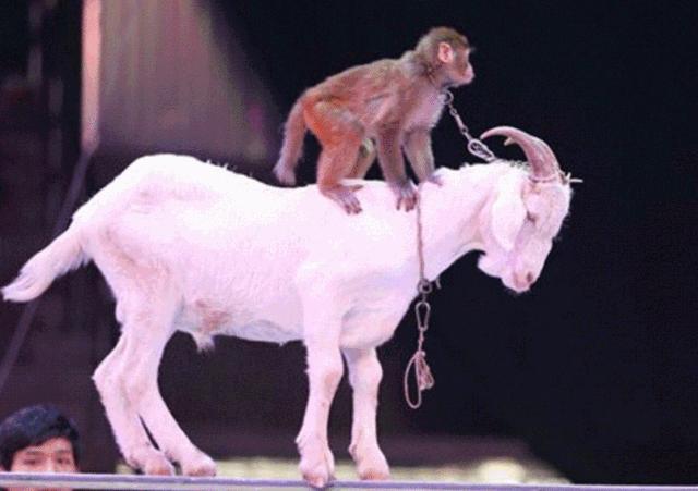 东南花都花博园景观,东南花都花博园