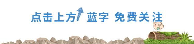 日常交际用语用英语怎么说,掌握好英语口语用英语怎么说