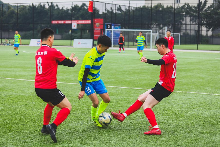 成都文旅熊猫馆直播,成都文旅官方直播