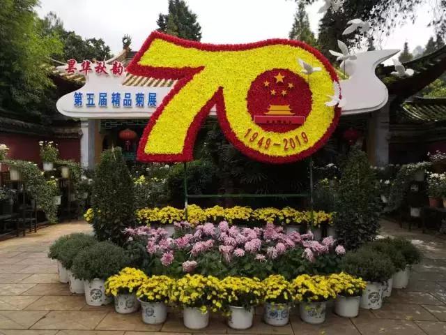 精品菊展、古风集市、植物科普…国庆七天假期，玩转昆明各大公园景区