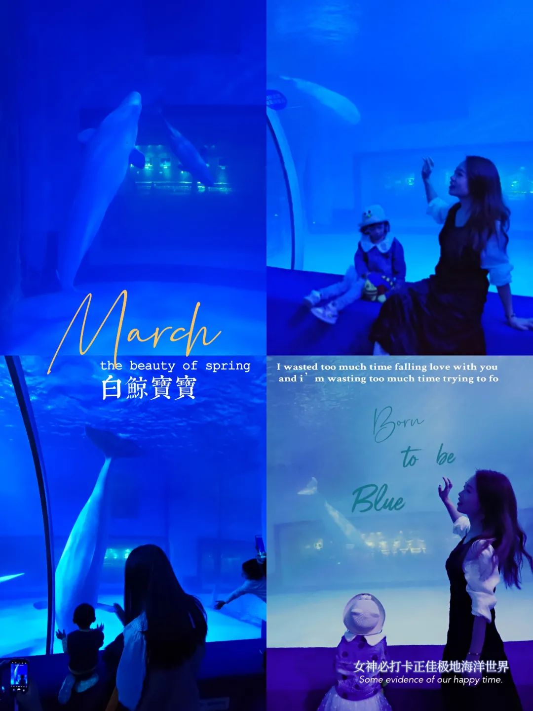 开启非凡住宿万豪旅享家,万豪旅享家邂逅城市五星级酒店