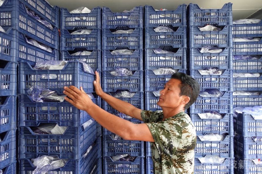 千村示范万村行动调研报告,百城千县万村调研点