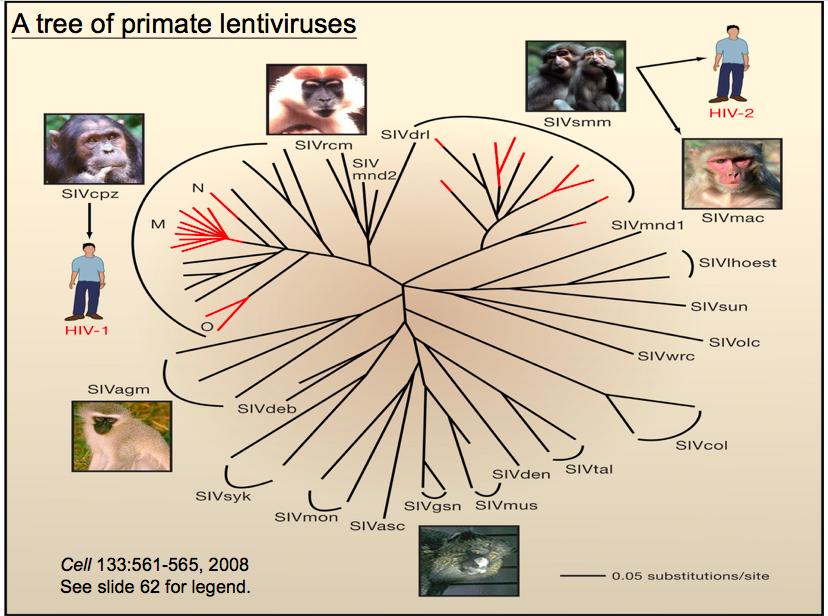 金冬雁教授对此次新冠的讲解,金冬雁新冠