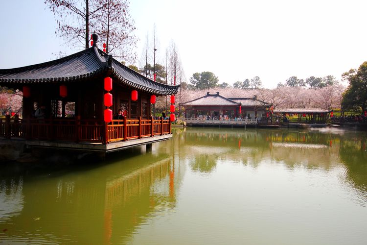 鑻遍泟褰掓潵妯辫姳鏈夌害,妯辫姳鐩涘紑鑻遍泟褰掓潵瀹屾暣瑙嗛