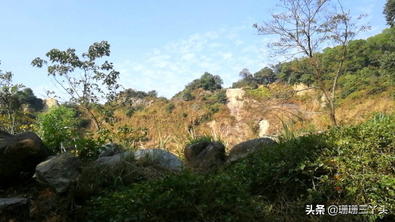 广州有座像老虎的山,广州有一座山是圆形的