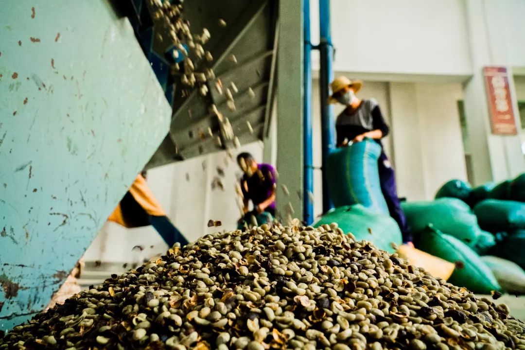 拯救瑞幸,拯救瑞幸的咖啡