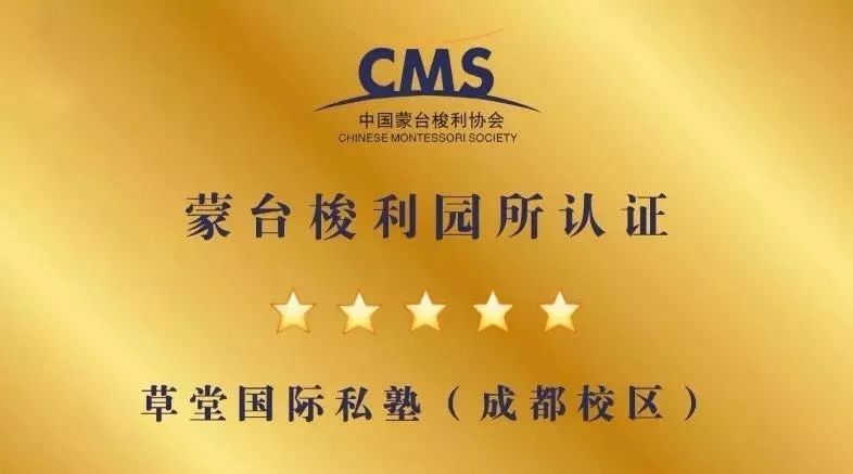 閲嶅簡鑽夊爞鍥介檯绉佸【,鑽夊爞鍥介檯