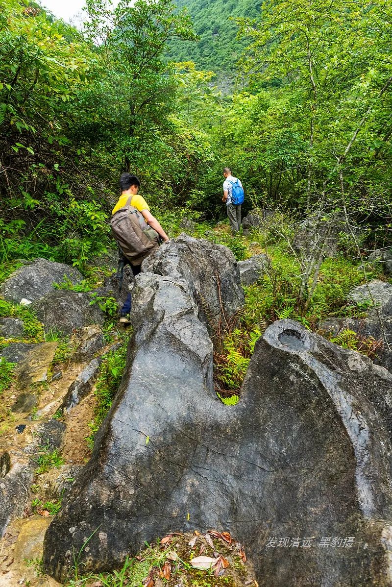 徒步穿越秦岭无人区,徒步穿越喀斯特森林