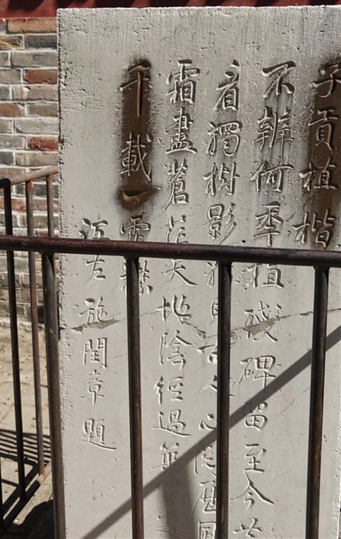 孔林是最大的氏族墓地吗,孔林各个时代的墓葬