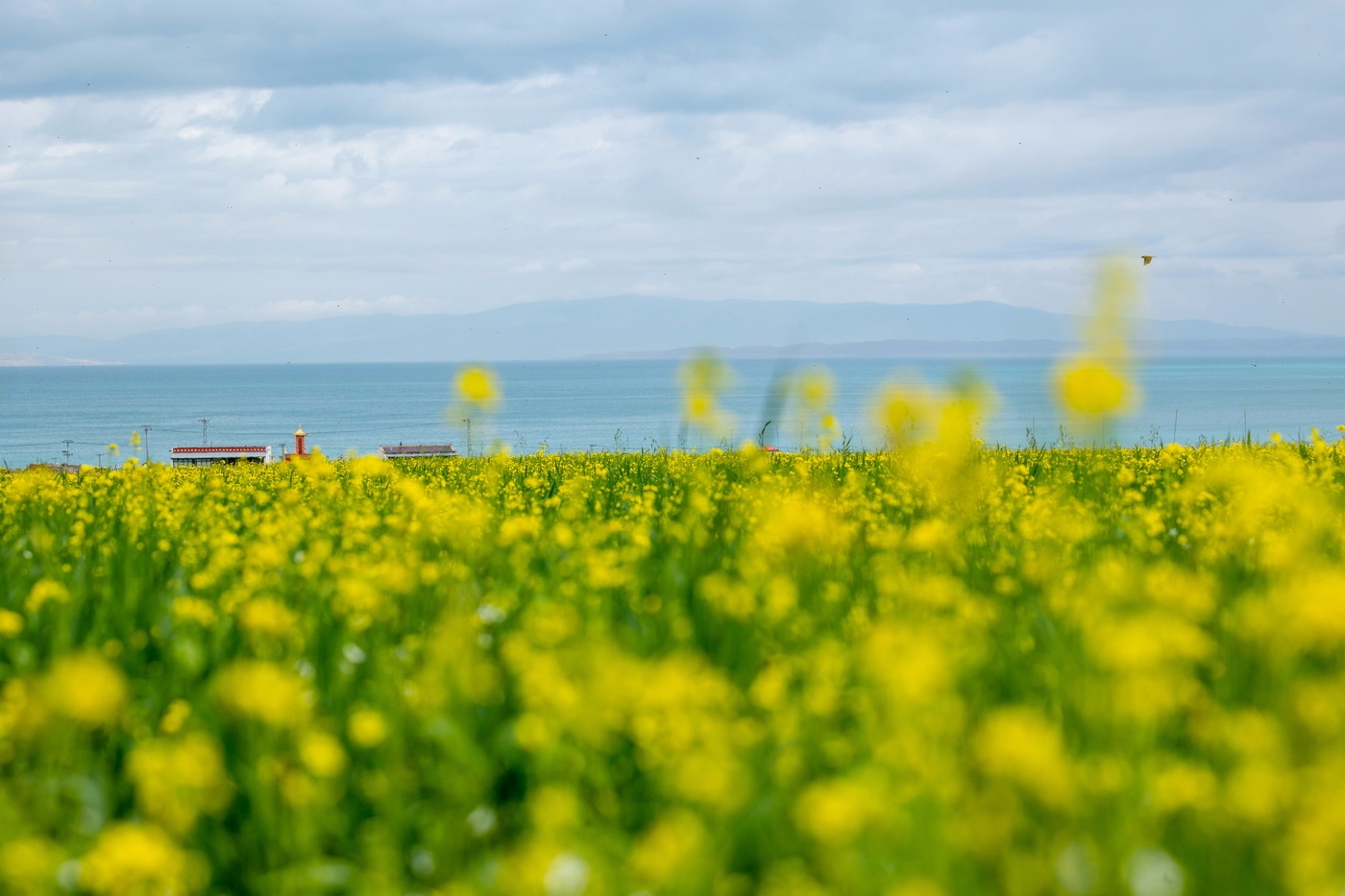 eosr6拍照技巧,eosr6视频拍摄评测