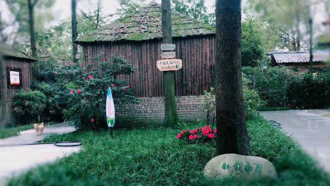 閫熷害鎵撳崱,閫熷害鎵撳崱鎷嶇収