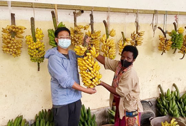 卢旺达:看不到脏乱差的非洲国家