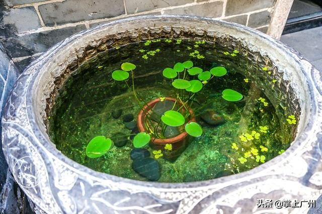 广州网红老街永庆坊,广州永庆坊网红打卡地都有什么