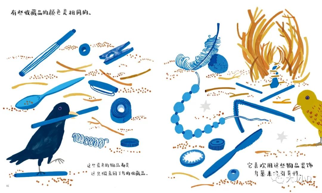 大班经典绘本推荐,国际获奖幼儿经典绘本推荐
