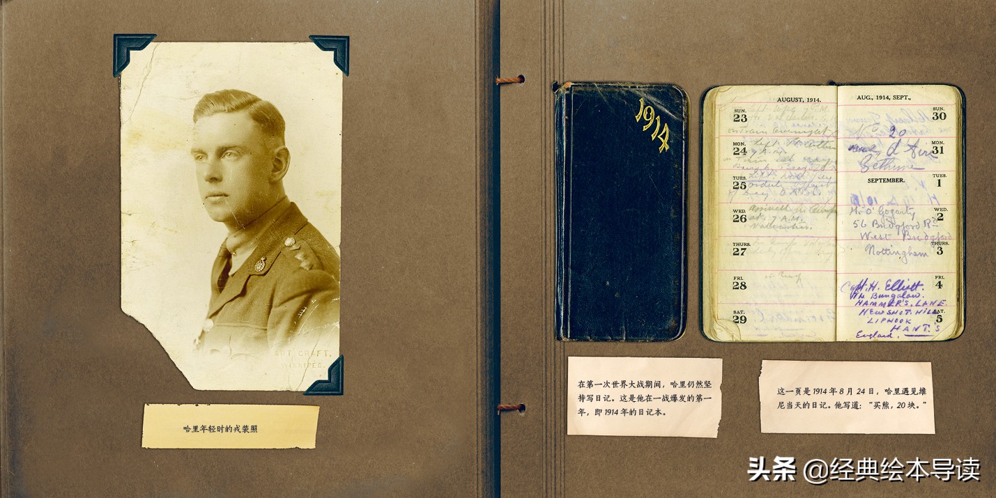 一只世界著名小熊的真实故事——《寻找维尼》导读