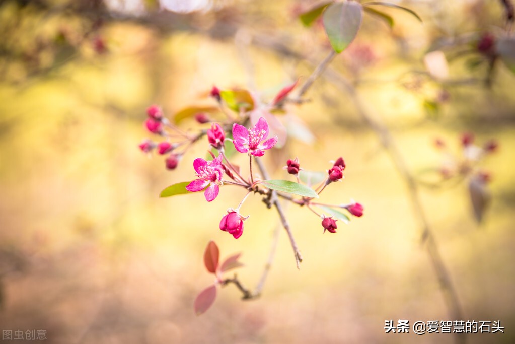 形容一个女人圈子干净的句子,圈子干净生活自律才会遇到对的人