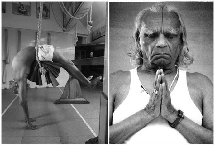 瑜伽树式练习,你到底适合哪种瑜伽练习